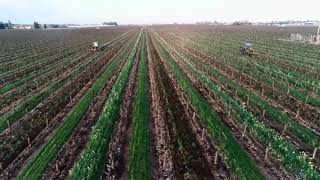 R-N-R Vineyard discing time!