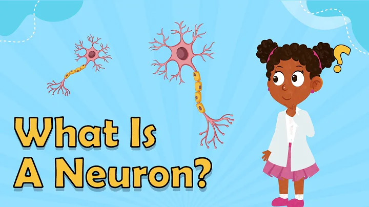 What Is A Neuron? | Facts About the Brain | Biology Facts for Kids | Fun Science Facts For Kids