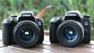 Best Canon 760D Rebel T6S Dslr Camera Brand New-Review