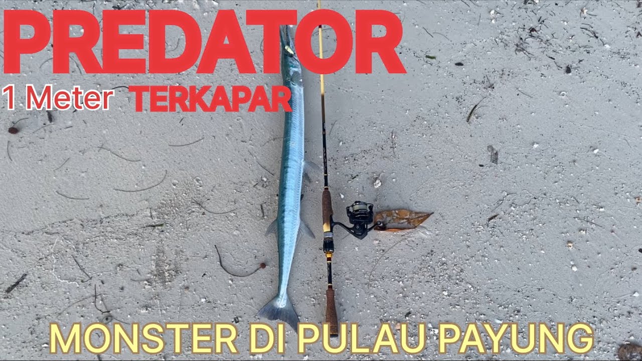 MANTAPNYO 🔥 Strike Monster | Mancing di Pulau Payung Kepulauan Seribu Camping Fishing predator 