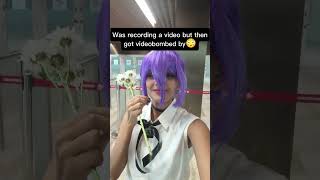 Maid Sukuna? Okay hear me out...#cosplay #reze #sukuna #jjk #csm #cosplayers #maidsukuna