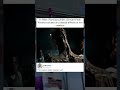 Alien: Romulus Practical Effects