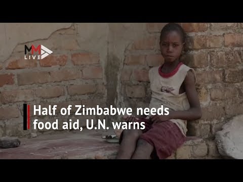 Zimbabwe plunges towards hunger crisis