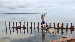 GRAN PESCA de bahía en Long Island NY