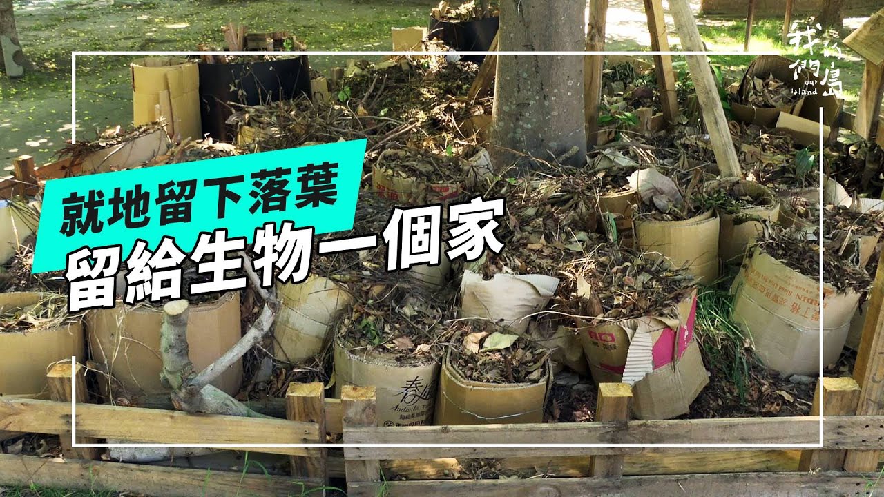 落葉行動｜把落葉還給樹木，打造永續生活綠空間(我們的島 第1274集 2024-09-23)