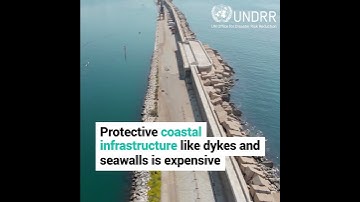 Coastal wetlands offer the best storm protection money can buy