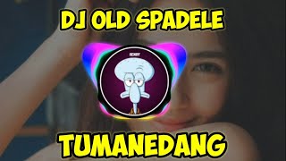 DJ OLD SPADELE TUMANEDANG TIKTOK VIRAL || DJ TIKTOK TERBARU 2021