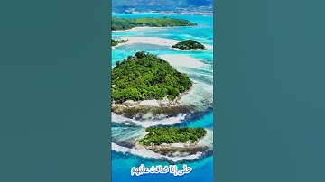 سورة التوبة و..كا.،نك تسمعها لأ..و،.ل مر.ة🌻🌼..🏵️🌸؛،💛❤️؛؛🌺بصوت الشيخ حمزة مدبو.ح💝💙،.💜؛💚💕؛،🌺🥀💮