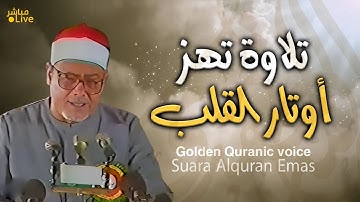أروع ما قد تسمعه أذناك ! 😭 تلاوة تغز.و القلب والروح والبدن  !👌| Wonderful Quranic voice