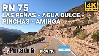 RUTA de la COSTA [RN 75] LAS PEÑAS -AGUA BLANCA - LAS  PINCHAS- AMINGA #driving LA RIOJA - ARGENTINA