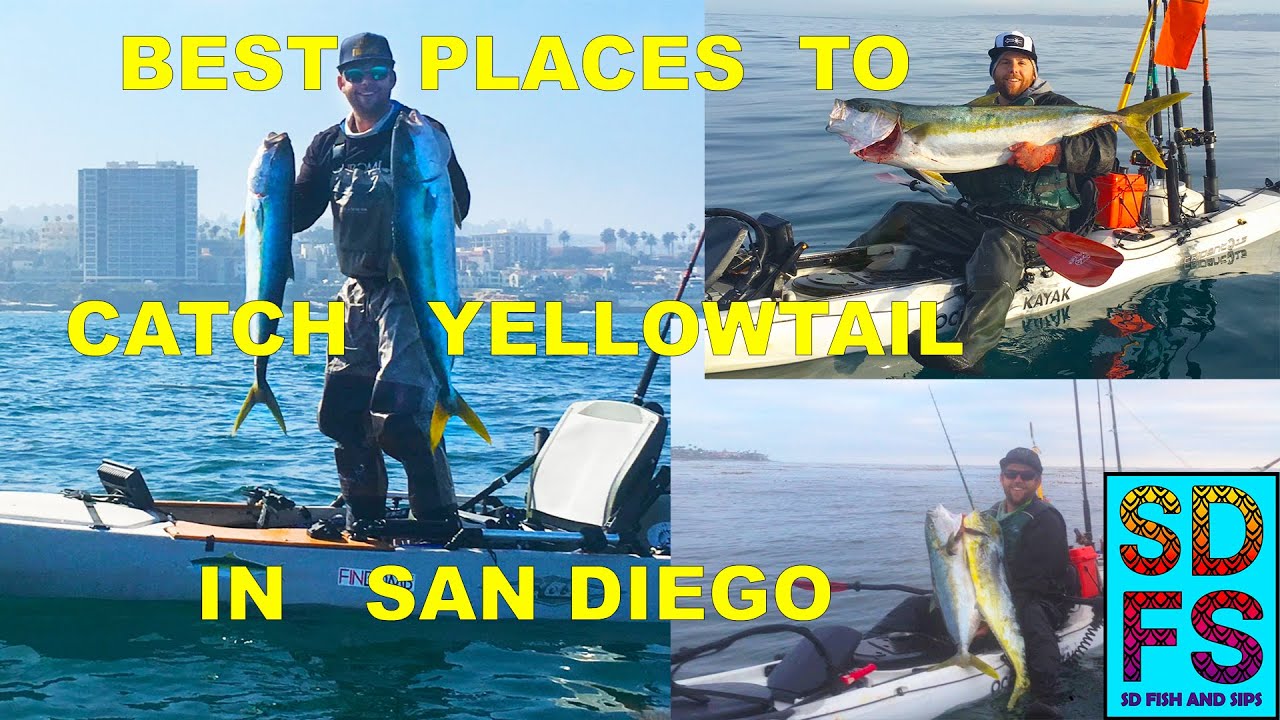 La Jolla Kayak Fishing for YELLOWTAIL Best of San Diego Fishing Over the Years 2014 to 2021