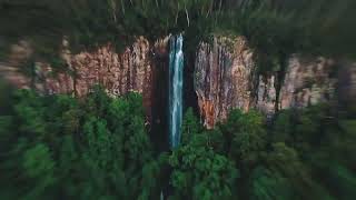 Springbrook National Park || The Falling Beauty!!