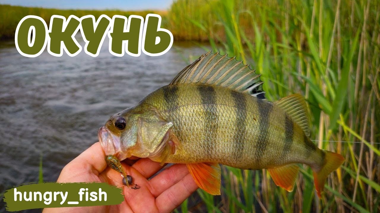 ПРОВЕРКА СТАРЫХ МЕСТ🔥🎣 | Zetrix Tezza  TZS-622UL 1-6 гр 