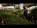 earthrise - Aquaponics & Safeguarding Haiti's Marine Life