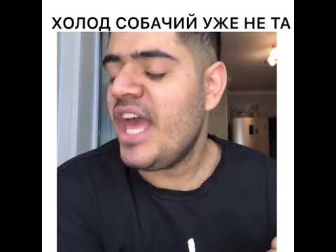 Холод Собачий Уже Не Та