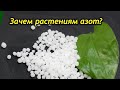 Азотные удобрения комнатных растений! Зачем растениям азот?