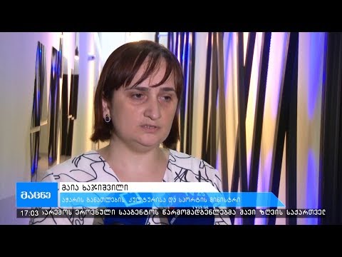 დარჩება თუ არა თეონა ბერიძე განათლების მინისტრის მოადგილის პოსტზე