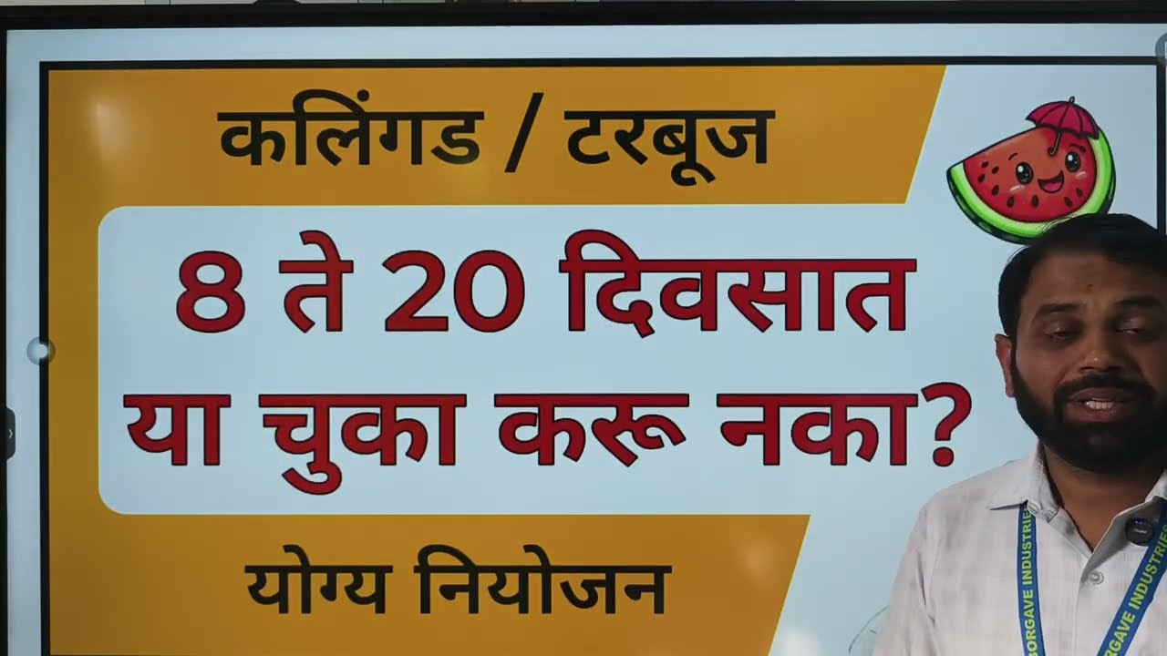 कलिंगड/टरबूज 8 ते 20दिवसात या चुका करू नका?नियोजन योग्य कसे करायचे?#कलिंगड #टरबूज#borgave_technology