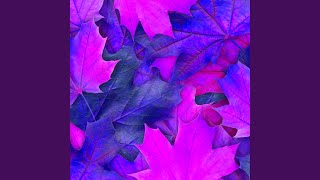 Sumptuous Moods for Spirited Flow