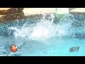 HealthTexas: Pool safety tips for the summer