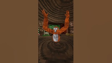 Le Poisson Steve #shorts #gorillatag #vr