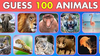 Guess 100 Animals from their Image