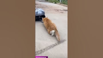 Give this video a title wrong answers only part 5