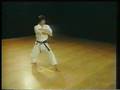 Nijushiho - Shotokan Karate