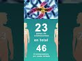 EL TEMPLO NUESTRO CUERPO 46