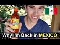 I MOVED TO MEXICO! (my story + life update)