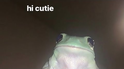 you should read desc 🌸💍✨