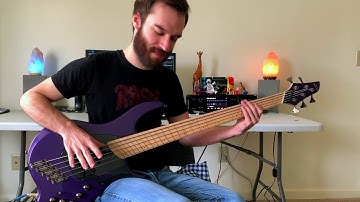 Arch Echo - Immediate Results! - Bass - Dingwall NG2