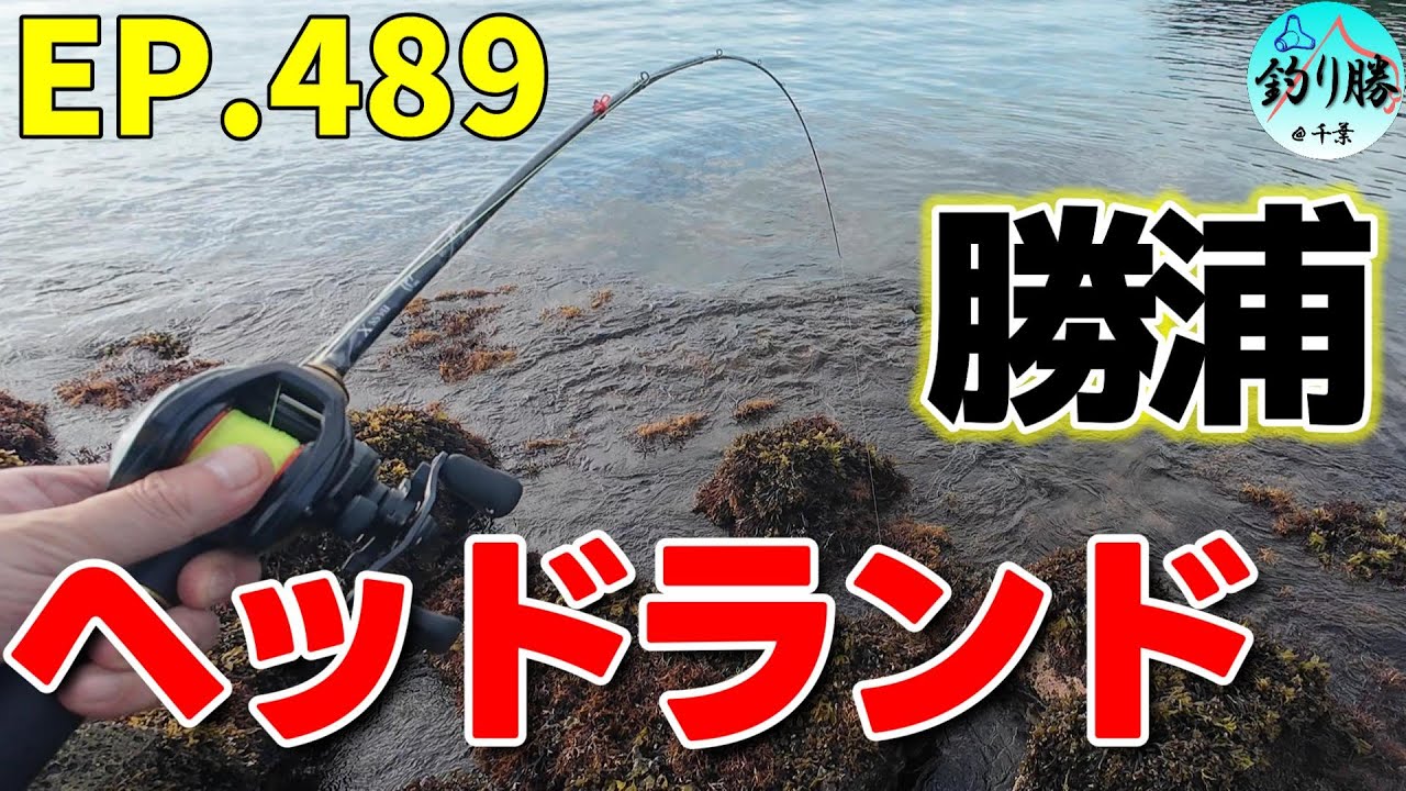 EP.489 勝浦穴釣り 初の興津ヘッドランドで根魚調査
