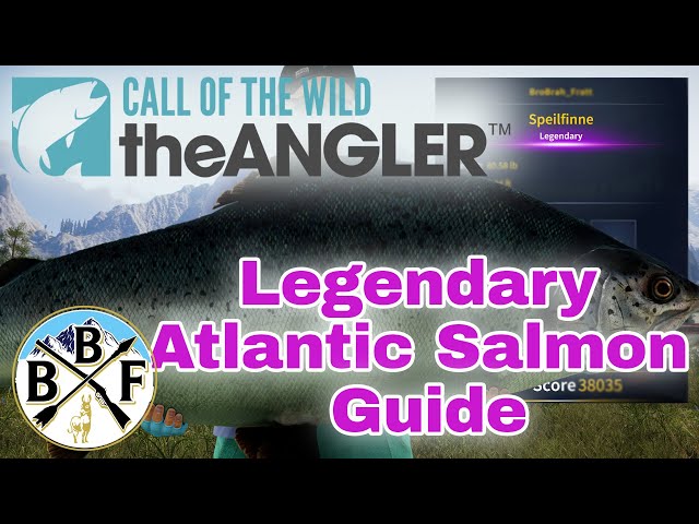 Beginner's Guide: Legendary Atlantic Salmon - Speilfinne Spawns, Bait and Hook  Size!