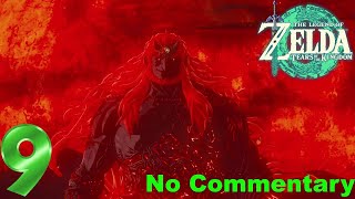 Birth of the Demon King - Memories 10! The Legends of Zelda Tears of the Kingdom Ep.9 No Commentary