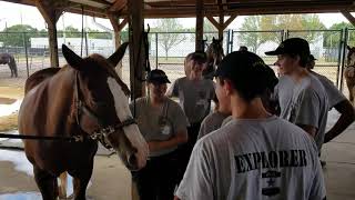 Explorer Summer Academy Slideshow