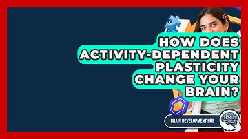 How Does Activity-dependent Plasticity Change Your Brain? - Brain Development Hub