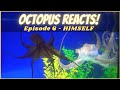 Octopus Reacts to Video of Himself - Episode 6