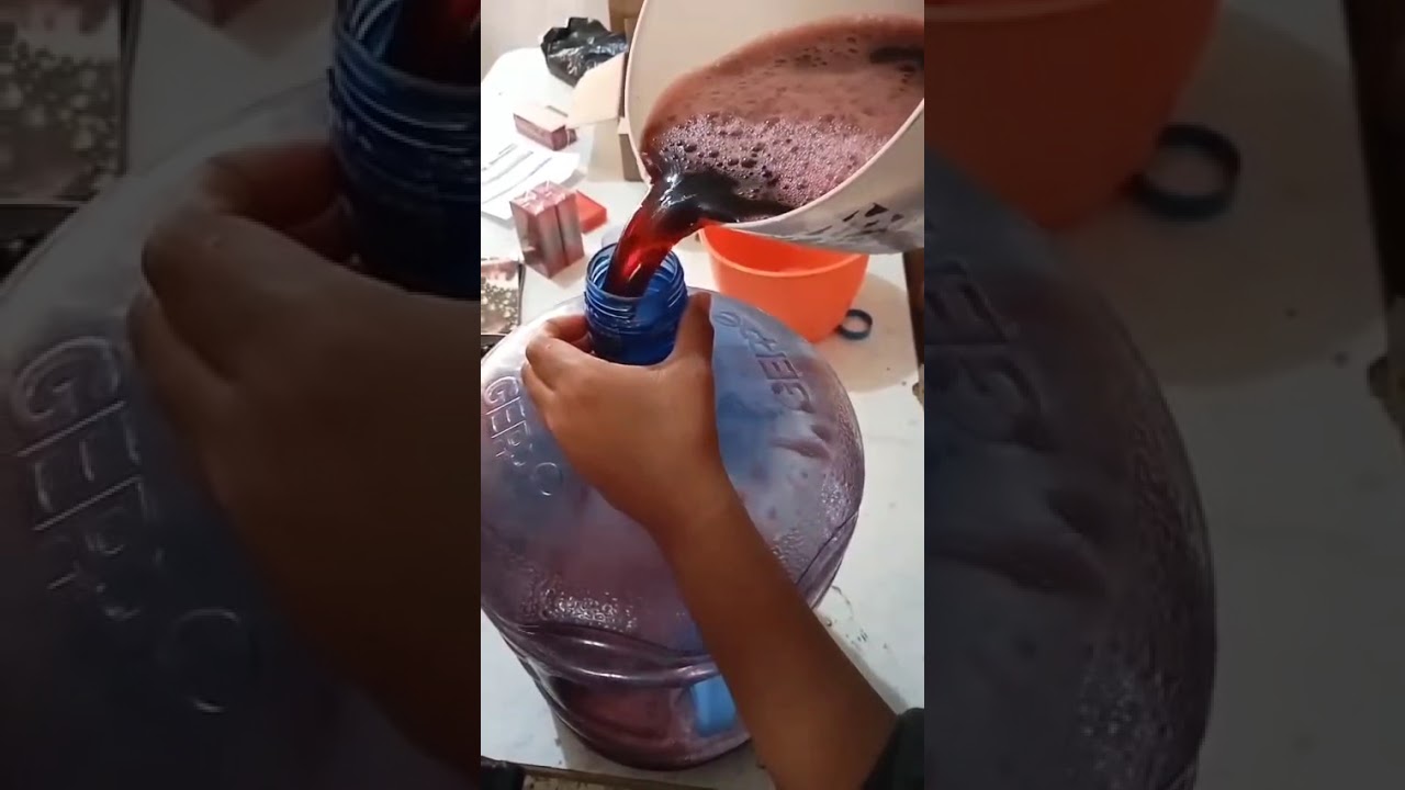 Integrante del equipoMaría Alejandra López Edgar Daniel Cabrera LópezAgua de Jamaica DC2026