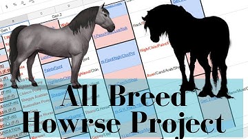 All Breed Howrse Project