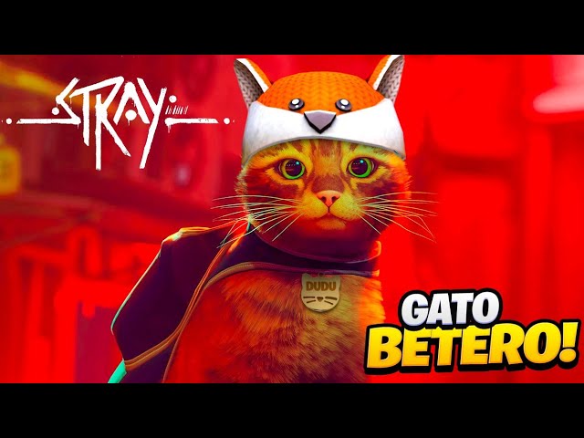 Stray: Jogo do gatinho vira-lata conquista pais de pet - 28/08/2022 -  Ilustrada - Folha