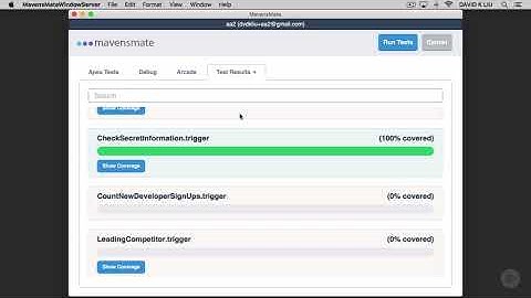 6 9 Secret Information Test Class   Running The Test/Fundamental Salesforce Coding Techniques/V