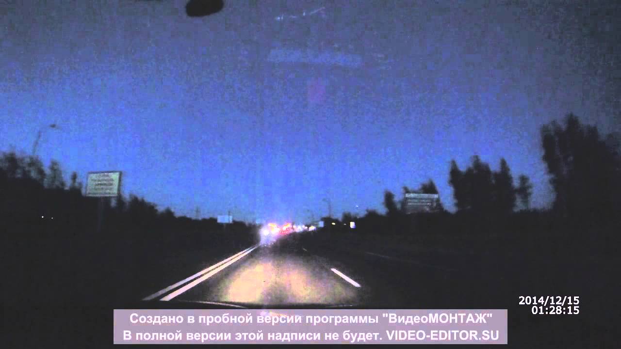 Лось на дороге Московское шоссе в сторону Тосно. - YouTube