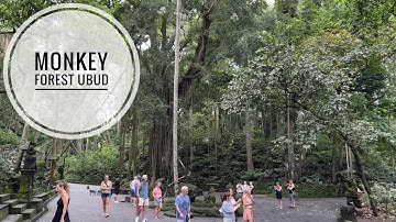 SACRED MONKEY FOREST SANCTUARY||UBUD BALI||INDONESIA