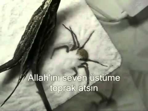 Allahını Seven Üstüme Toprak Atsın