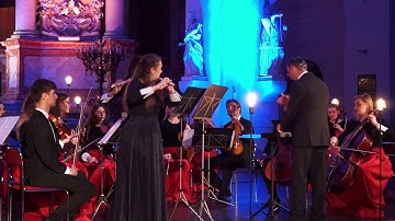 G. P. Telemann - Concerto for two flutes, strings & basso continuo a minor