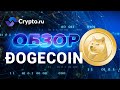 Что такое криптовалюта Dogecoin (Догикоин)? | Токен, монета DOGE | Крипта простым языком