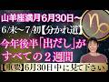 山羊座満月|星|今年後半の重要な補足|後半「出だし」が最重要‼️「分かれ道」は6月30日にやってくる‼️