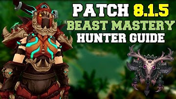 Beast Mastery Hunter DPS Guide 8.1.5 | Talents, Rotation & Stats | World of Warcraft | WoW BfA