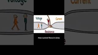 How Does Electricity Flow in a Wire?